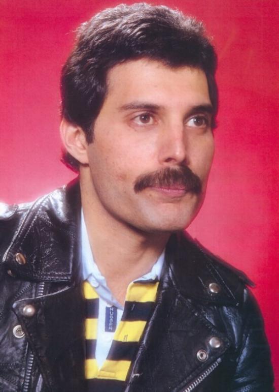 JUST BEAUTIFUL FREDDIE!!
