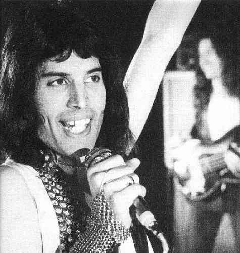 Freddie live