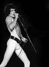 Freddie