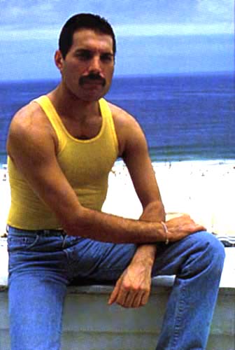 Freddie on a beach