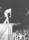 Freddie en Argentina 1981