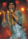 Flamboyant Freddie