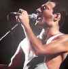 Freddie art image