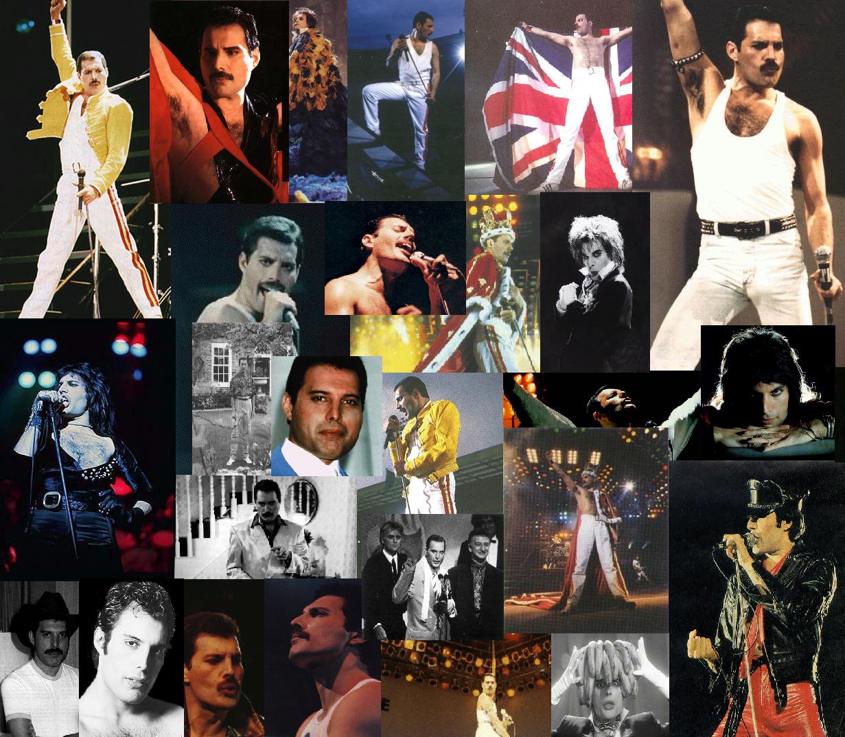 Montage of Fred
