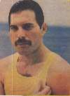 SIEMPRE HERMOSO MERCURY