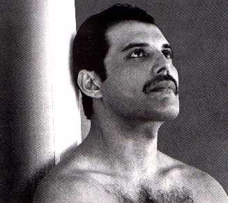 Dreamy Freddie (sigh)
