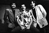 freddie y los torpedos en one vision