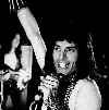 happy freddie