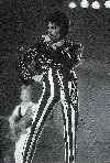 Yipes!  Stripes!