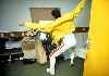 freddie is my life!!