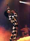 Freddie