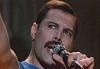 Freddie