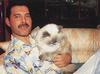 Freddie With Tiffany