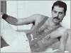 Freddie posing