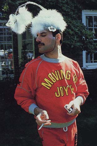Freddie with fluff on his head
