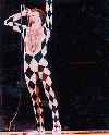 harlequin