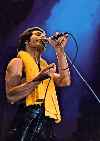 amazing freddie