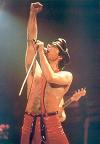 Freddie in his biker cap