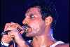 Freddie working