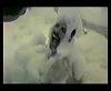 freddie sing in the bath? omg *giggles*