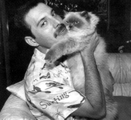 Freddie with his cat Tiffany