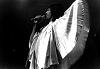 Freddie Live 1975