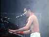 Freddie