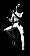 Freddie in concert