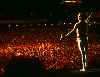 Freddie and his crowd