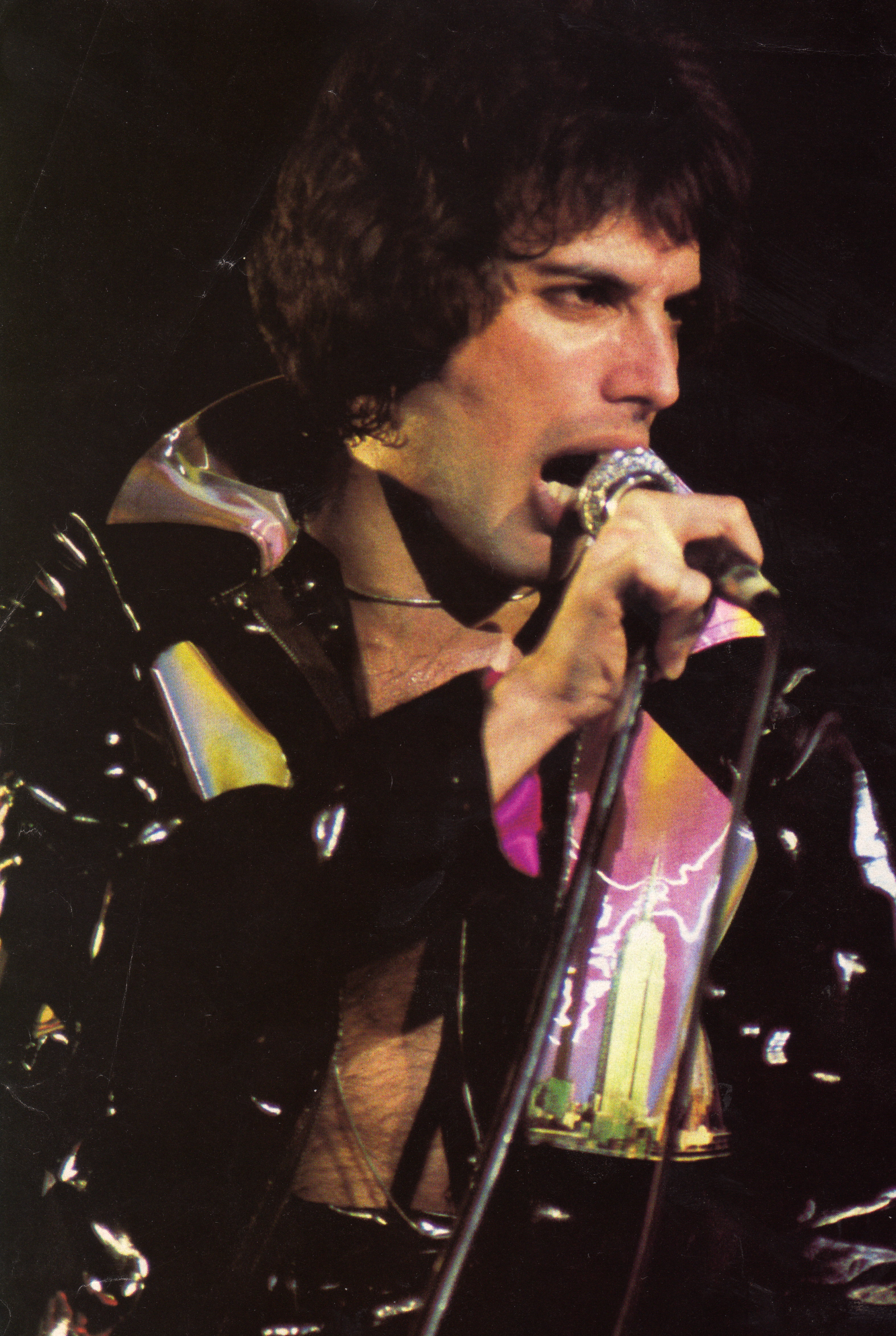 Freddie
