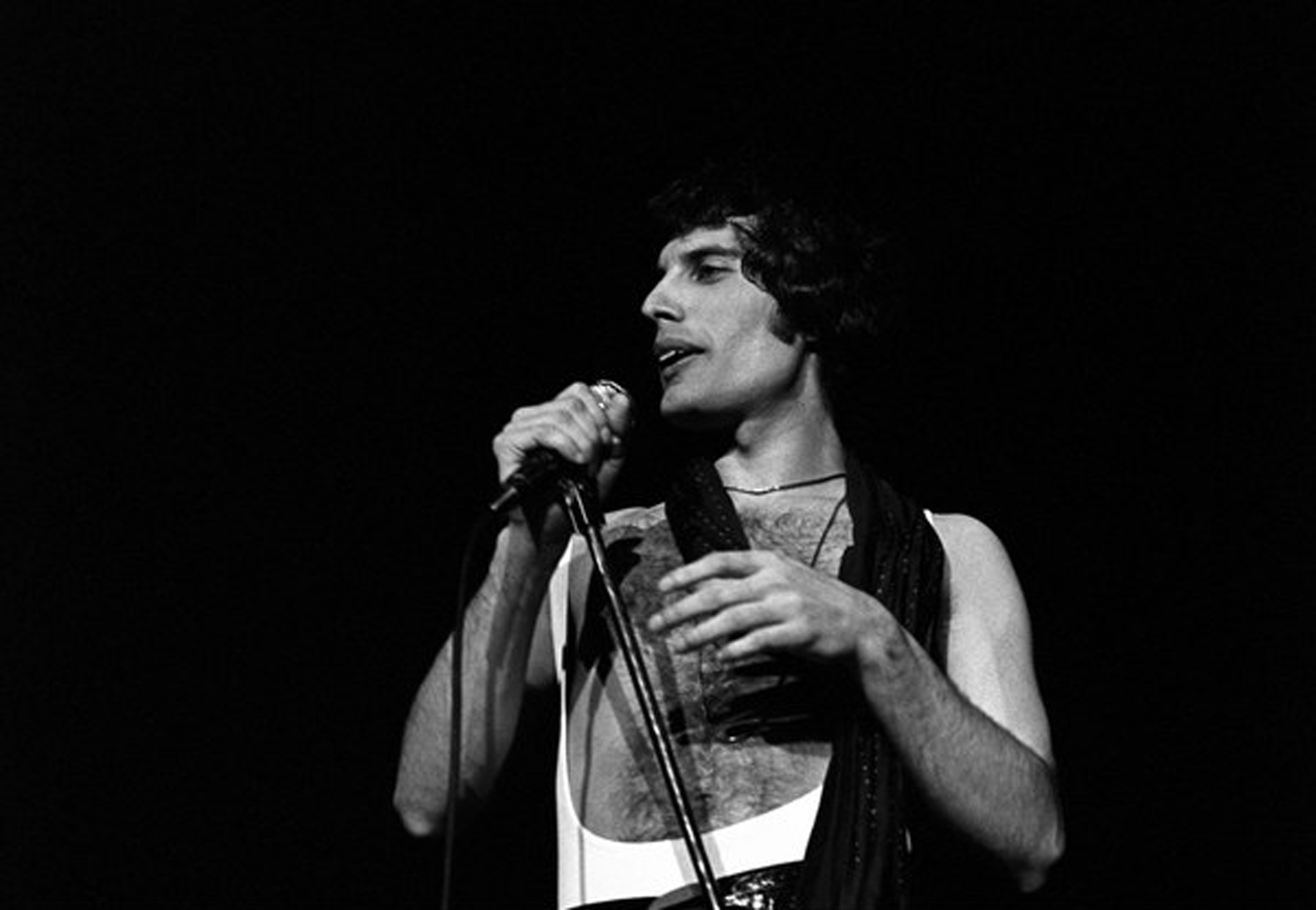 Freddie Rotterdam 1978, such a sweet face...