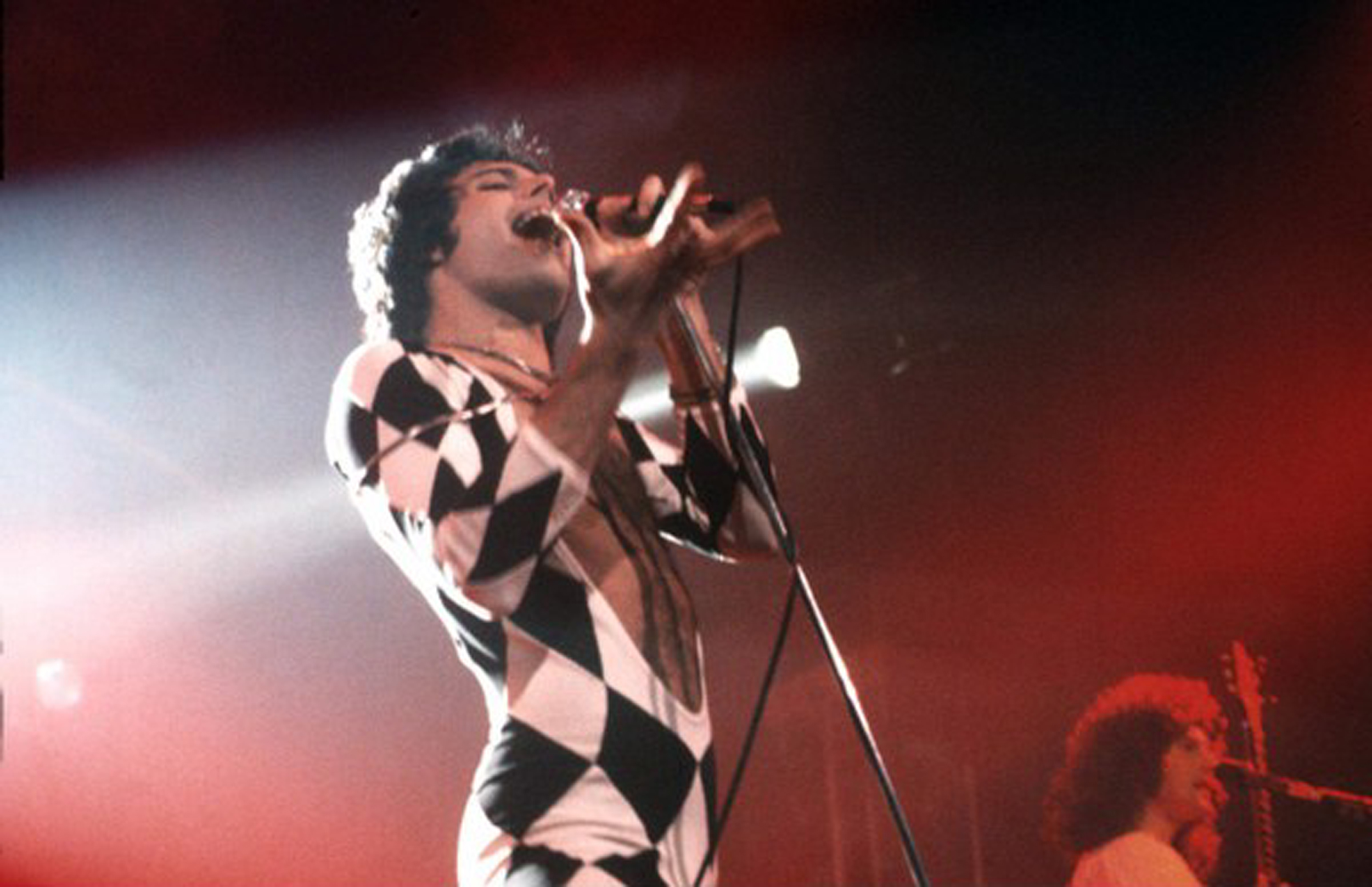 Gorgeous Freddie