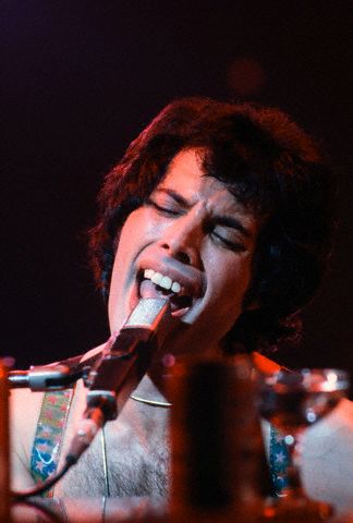 Freddie