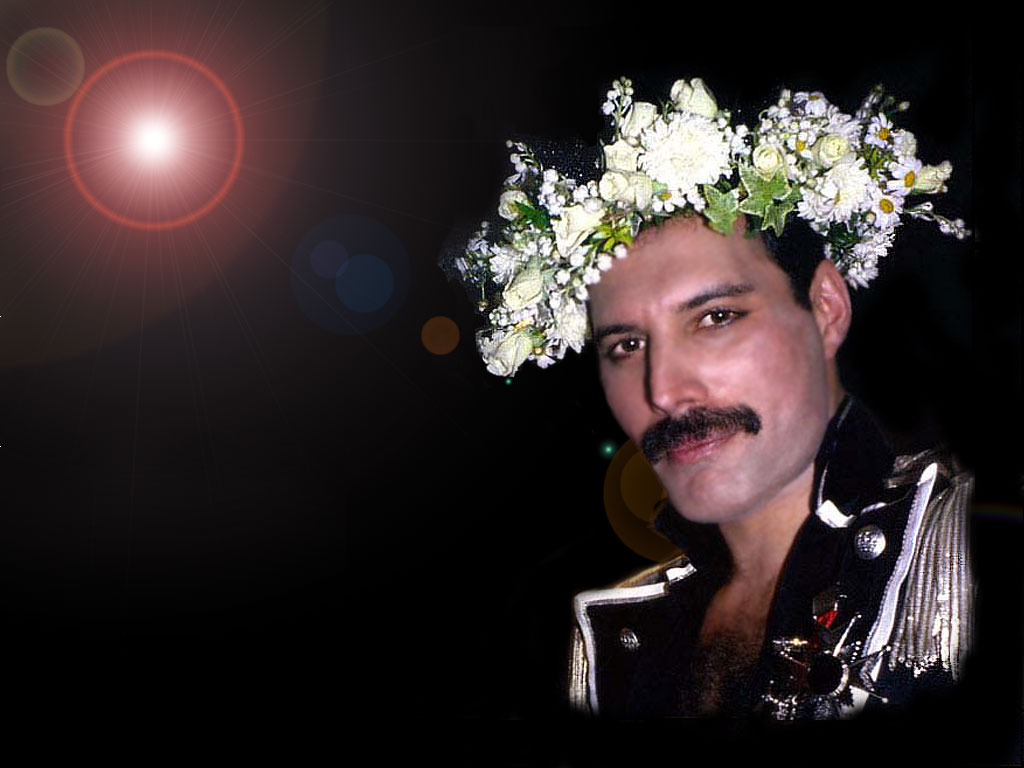 Tribute for freddie