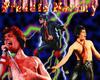 Fan Art - Montage of Freddie