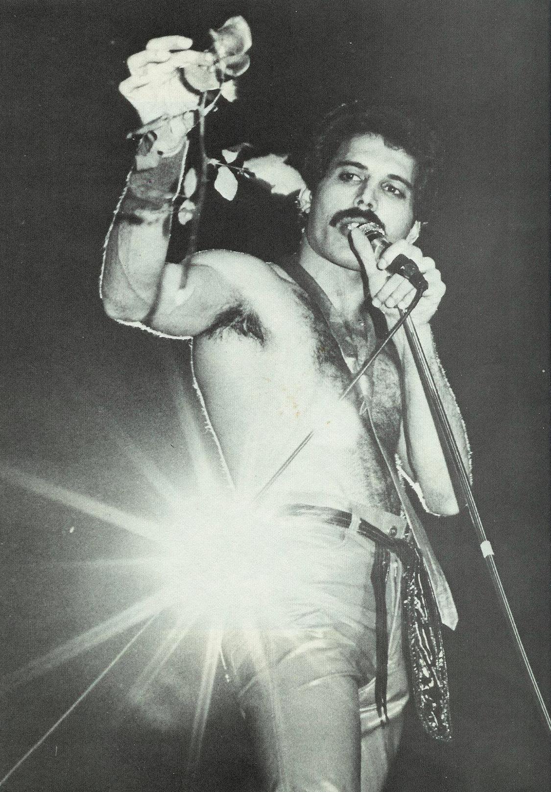 Freddie