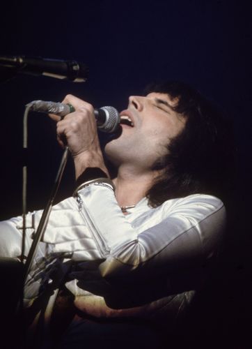 A rare, gorgeous picture of FREDDiE!