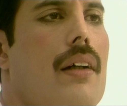 freddie-2
