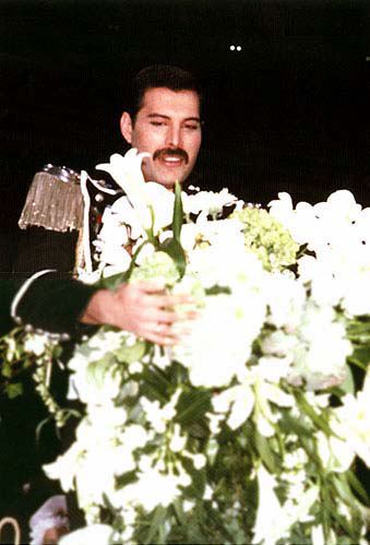 Freddie