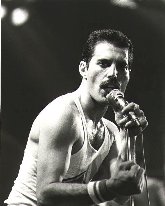 Freddie