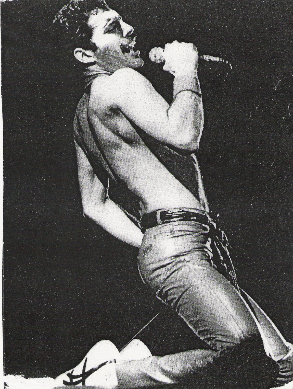 Freddie 1980