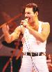 Freddie Mercury From Live Aid