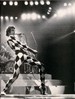 Freddie
