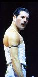 Freddie Live AID
