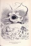 Grandville - I'm going slightly mad