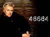 ROGER AT 46664 Wallpaper 1024X768