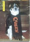 FC Magazine Autumn 1989 (upl on request from the owner of the dog)