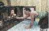 Freddie and Paul