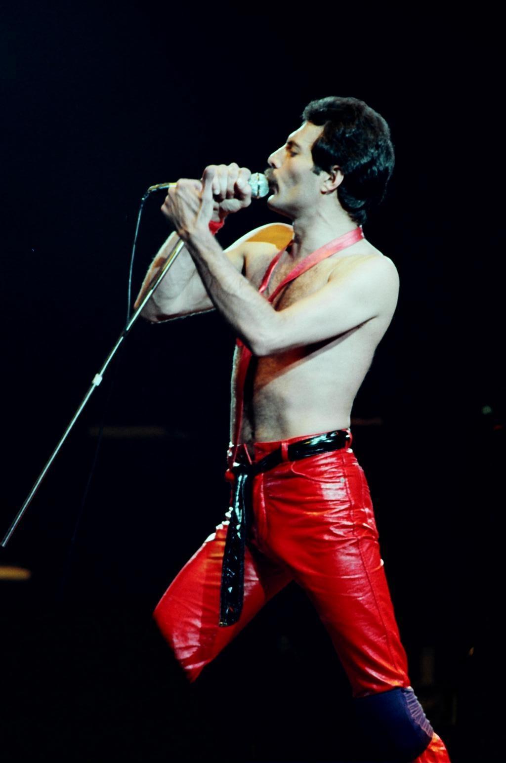 Dallas 09-08-80 Freddie 