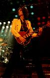 Newcastle1979 Brian 3